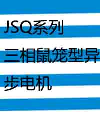 JSQ系列三相鼠笼型异步电机