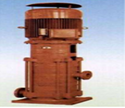 MPV-40/50型立式多级离心消防泵